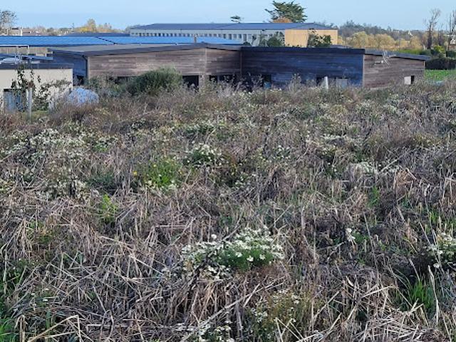 Vente Terrain 490 m2 Guissény