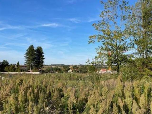 Vente Terrain 492 m2 Labastide Saint Sernin
