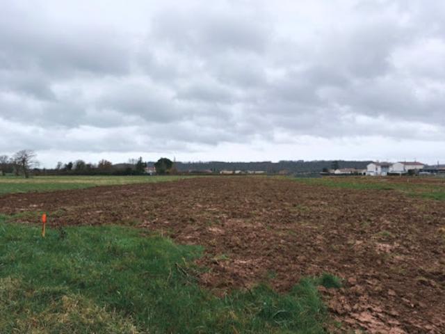 Vente Terrain 494 m2 Lagrave