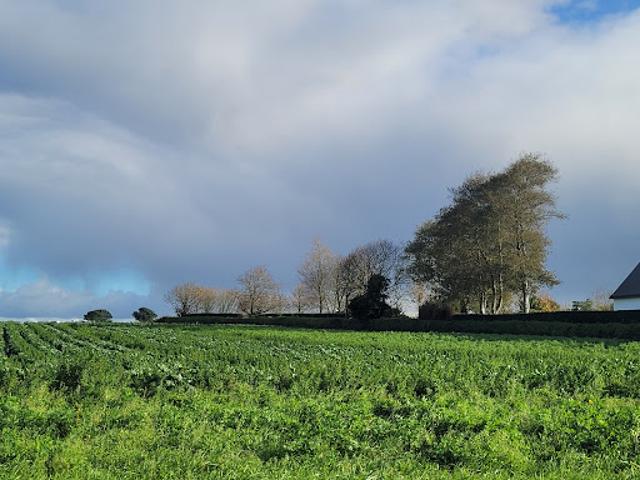 Vente Terrain 496 m2 Plouguerneau