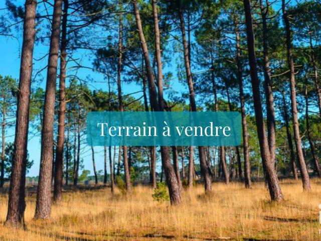 Vente Terrain 498 m²