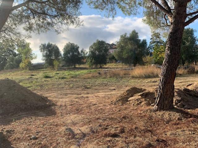Vente Terrain 403 m2 Roquebrune sur Argens