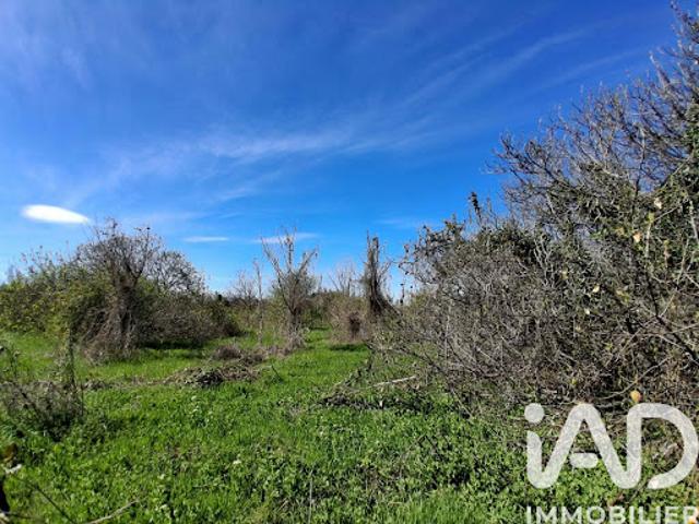 Vente Terrain 4000 m2 Canet en Roussillon