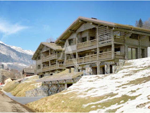 Vente Terrain 4000 m2 Le Grand Bornand