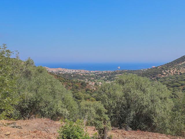 Vente Terrain 4000 m2 Santa Reparata di Balagna