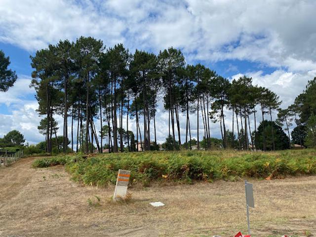 Vente Terrain 400 m2 Avensan