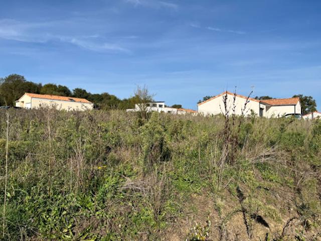 Vente Terrain 400 m2 Champtoceaux
