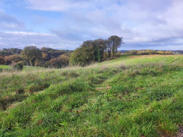 Vente Terrain 400 m2 Dénat