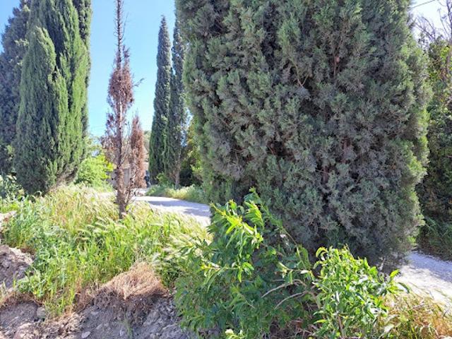 Vente Terrain 400 m2 Le Rove