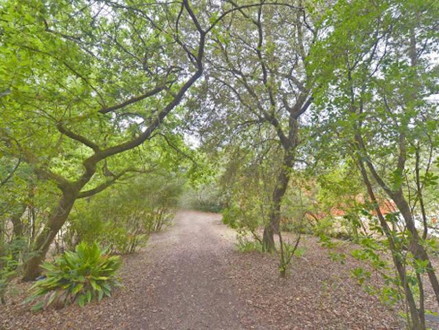 Vente Terrain 400 m2 Saint Georges de Didonne
