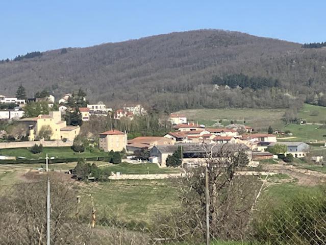 Vente Terrain 401 m2 Pollionnay
