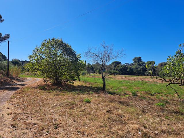 Vente Terrain 404 m2 Frejus