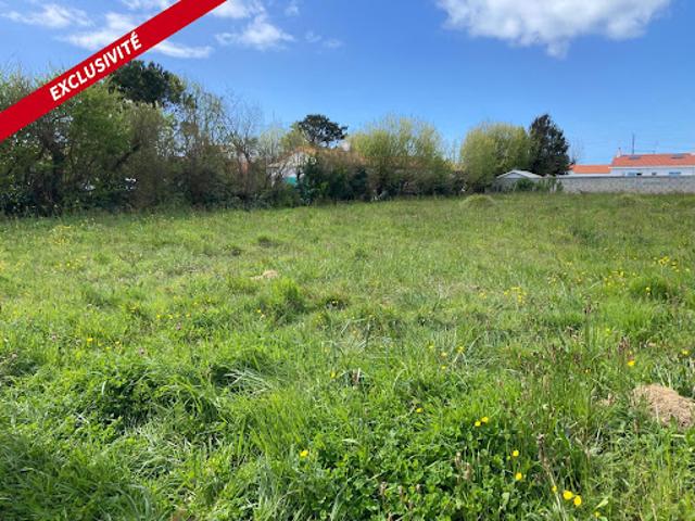 Vente Terrain 404 m2 Saint Hilaire de Riez