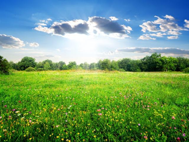 Vente Terrain 404 m2 Semussac