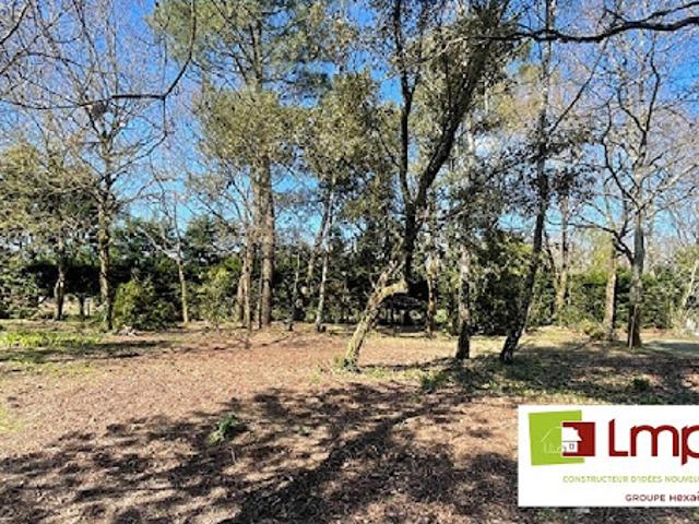 Vente Terrain 405 m2 L'Aiguillon sur Vie