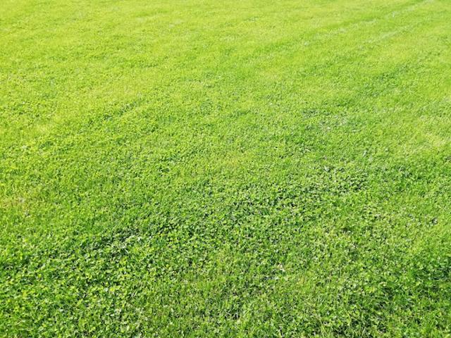 Vente Terrain 406 m2 Saint Brandan