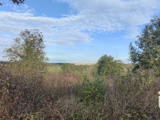 Vente Terrain 4085 m2 Saint Maurice Thizouaille