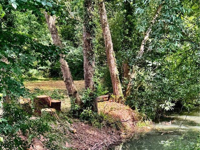 Vente Terrain 4086 m2 Châtillon Coligny