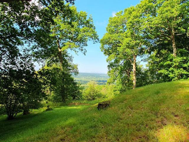 Vente Terrain 4099 m2 Saint Gatien des Bois
