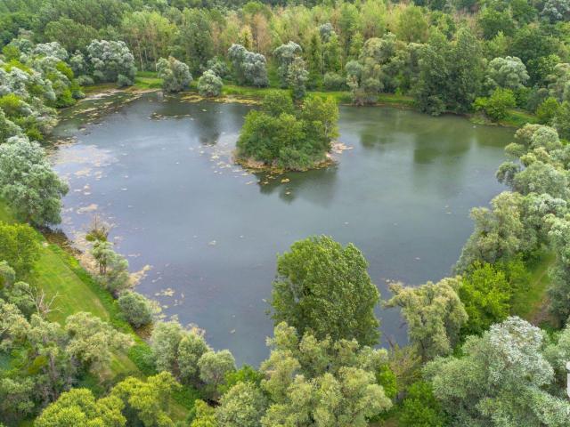 Vente Terrain 40 819 m²