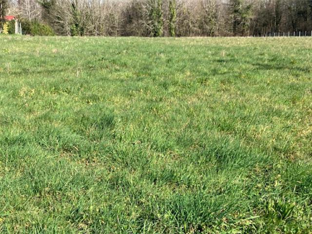 Vente Terrain 413 m2 Saint Césaire