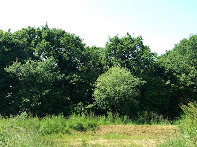 Vente Terrain 410 m2 Saint Briac sur Mer