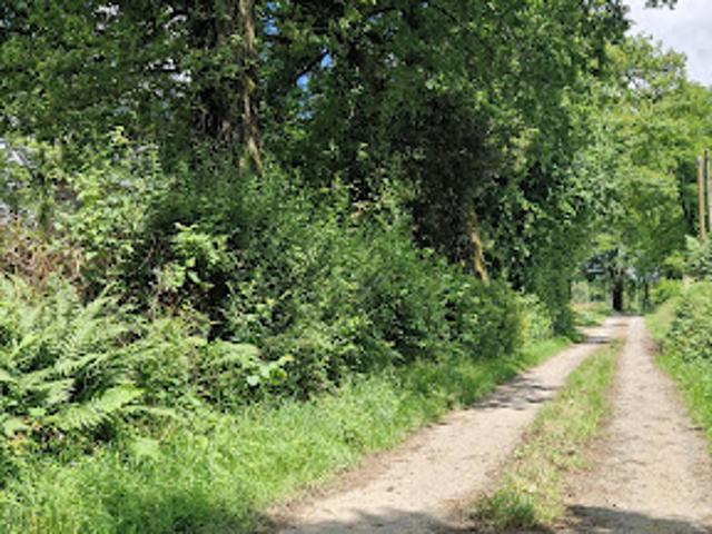 Vente Terrain 4134 m2 Lubersac