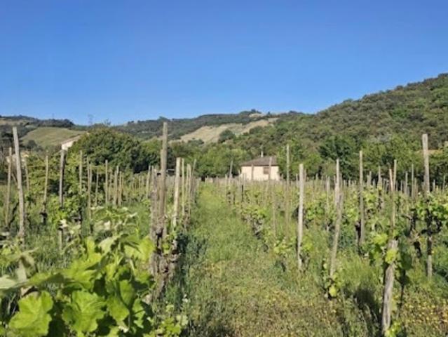 Vente Terrain 415 m2 Cornas