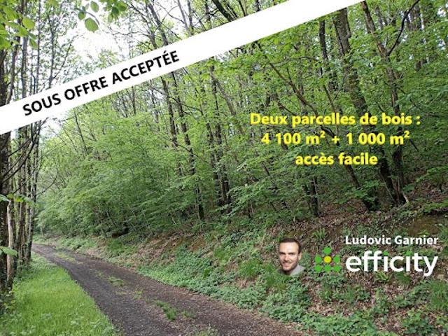 Vente Terrain 4160 m2 Juvigny les Vallées
