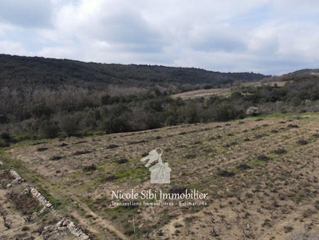 Vente Terrain 4160 m2 Lansac