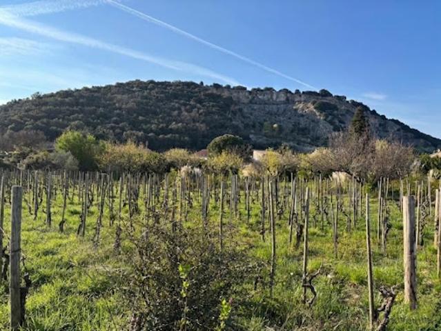Vente Terrain 416 m2 Cornas