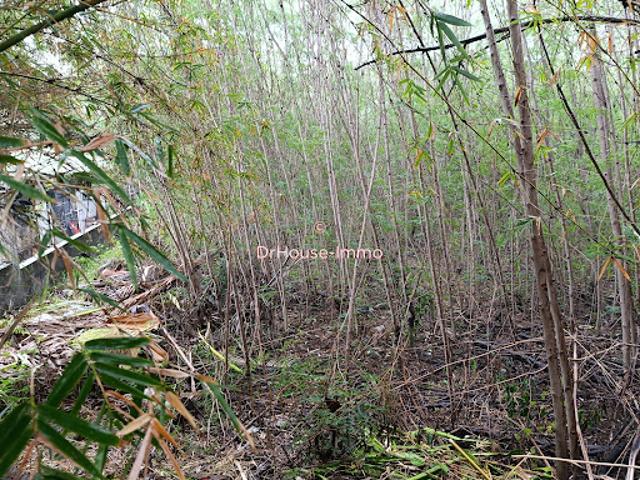 Vente Terrain 4175 m2 Saint Pierre