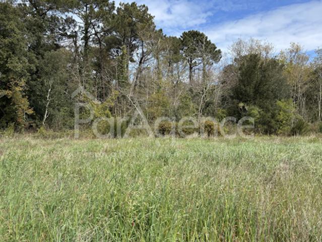 Vente Terrain 419 m2 Les Mathes