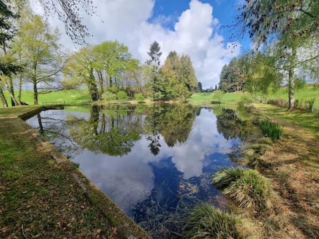 Vente Terrain 4202 m2 Saint Yrieix la Perche