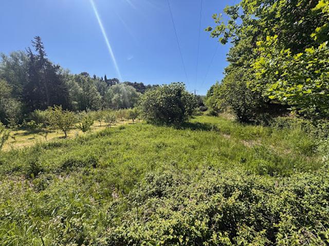 Vente Terrain 420 m2 Puyméras