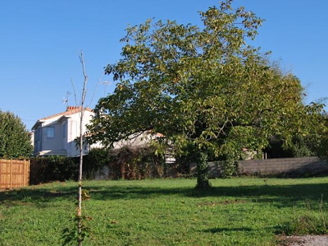 Vente Terrain 420 m2 Soyaux