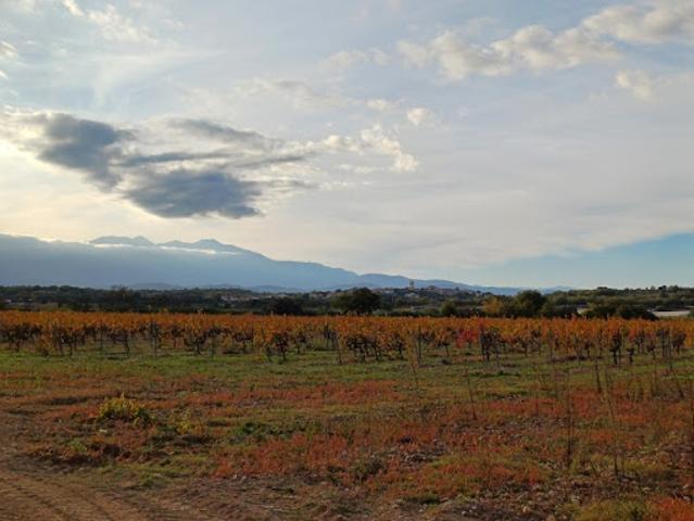 Vente Terrain 421 m2 Brouilla