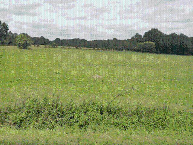 Vente Terrain 422 m2 Vigneux de Bretagne