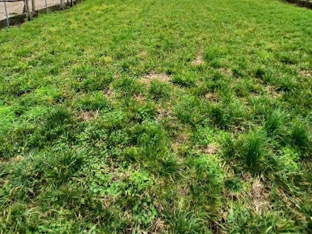 Vente Terrain 422 m2 Meschers sur Gironde