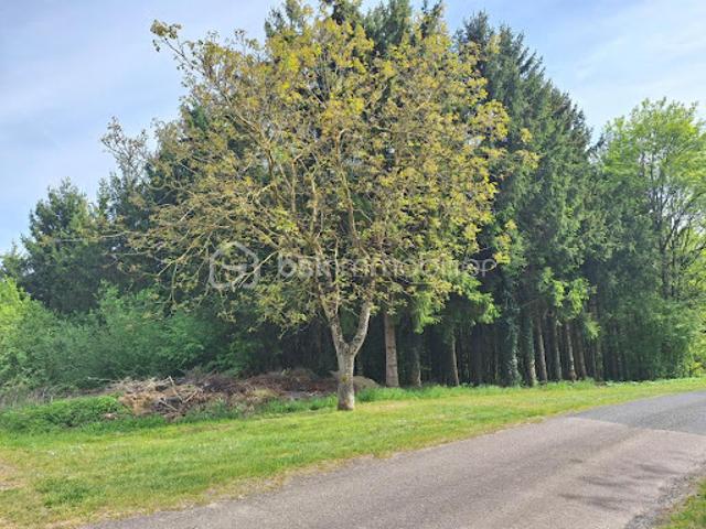 Vente Terrain 4240 m2 Ancerville
