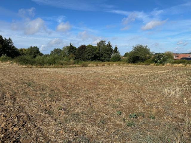 Vente Terrain 424 m2 Calonne Ricouart