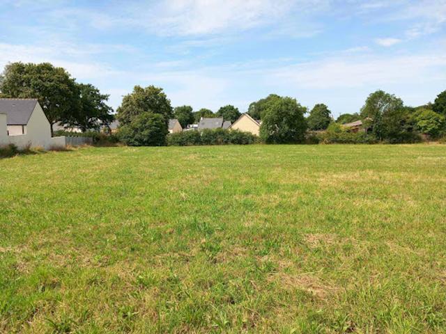 Vente Terrain 424 m2 Donges