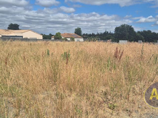 Vente Terrain 424 m2 Montaigu Vendée