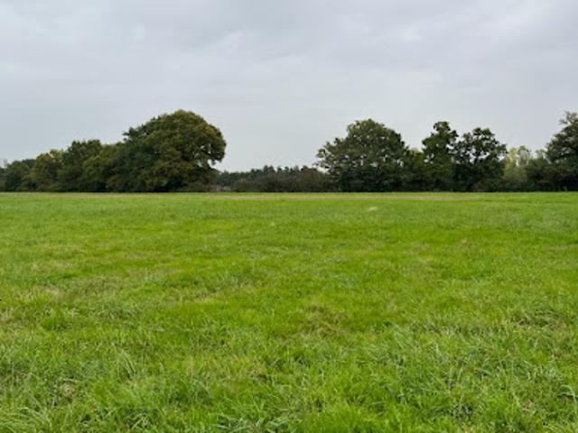 Vente Terrain 424 m2 Saint Germain du Corbéis