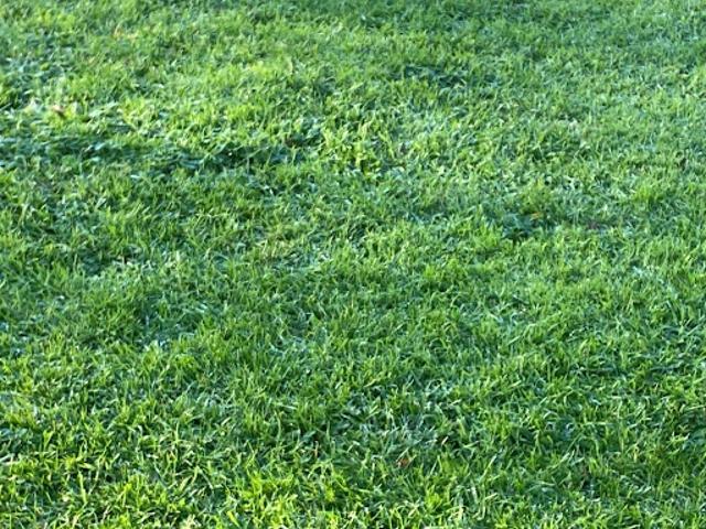 Vente Terrain 425 m2 Bourg Blanc