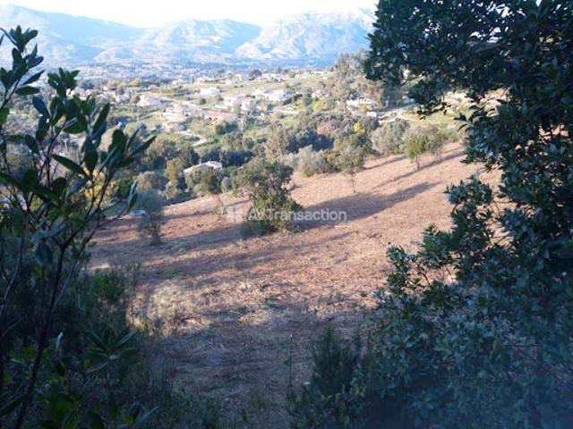 Vente Terrain 4260 m2 Cuttoli Corticchiato