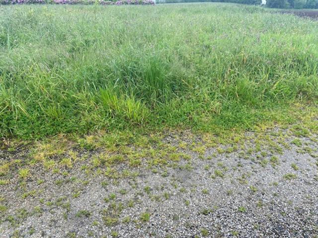 Vente Terrain 428 m2 Plogonnec