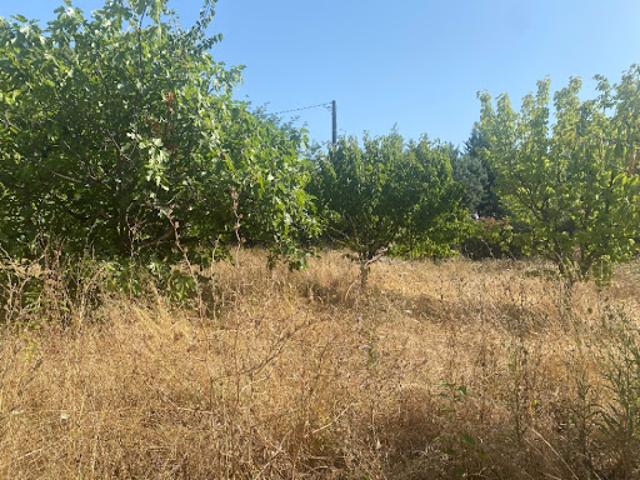 Vente Terrain 429 m2 Toulon