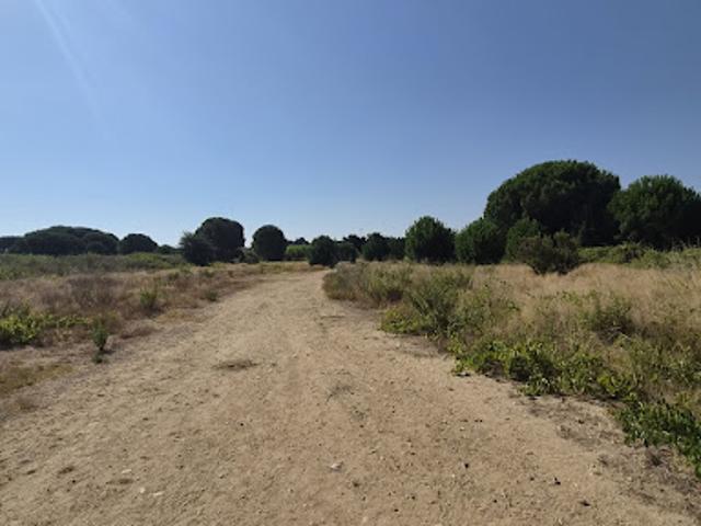 Vente Terrain 433 m2 Latour Bas Elne