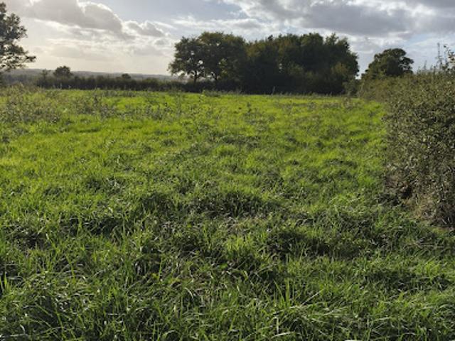 Vente Terrain 4300 m2 Ceaulmont